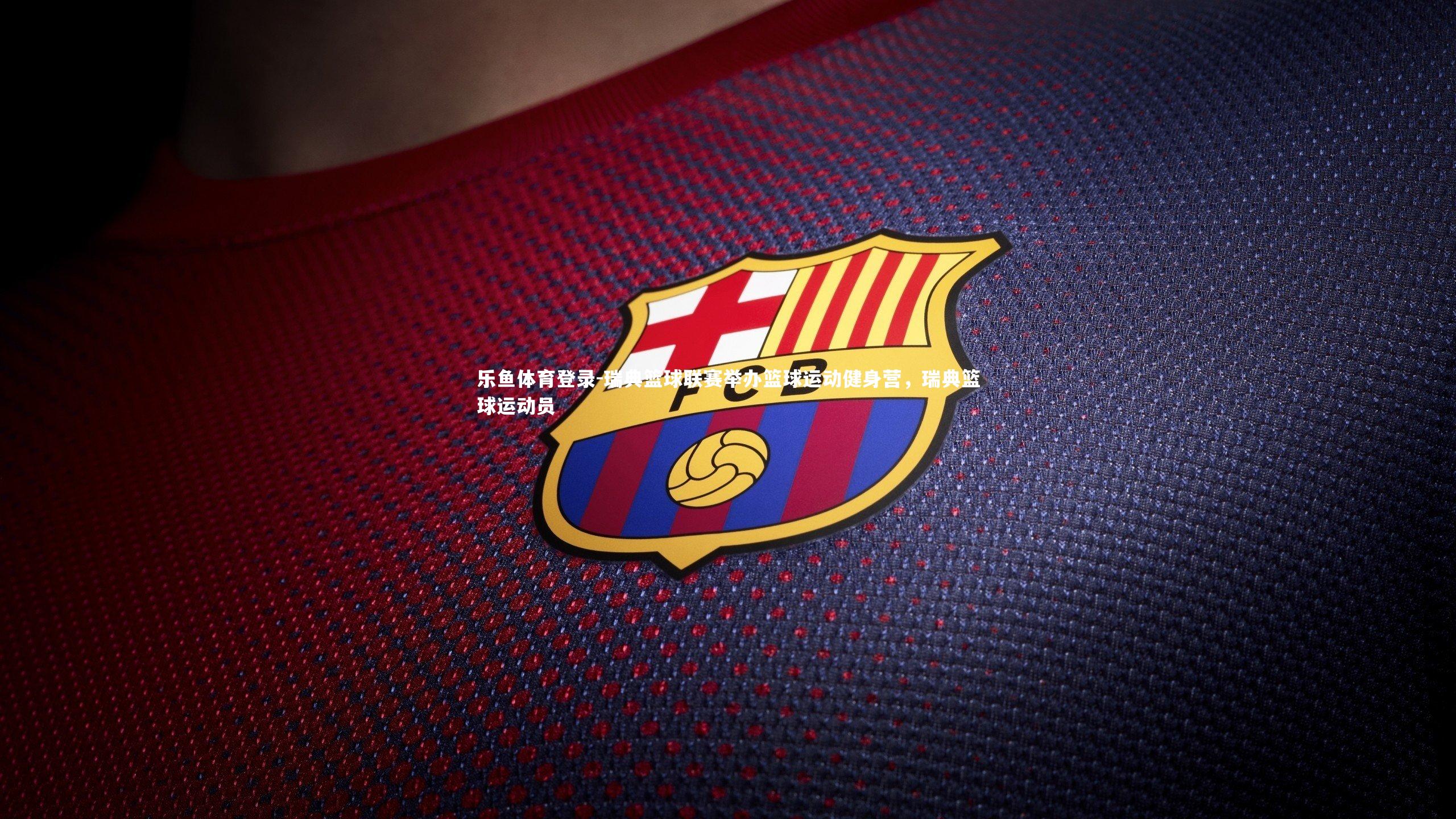 瑞典篮球联赛举办篮球运动健身营，瑞典篮球运动员