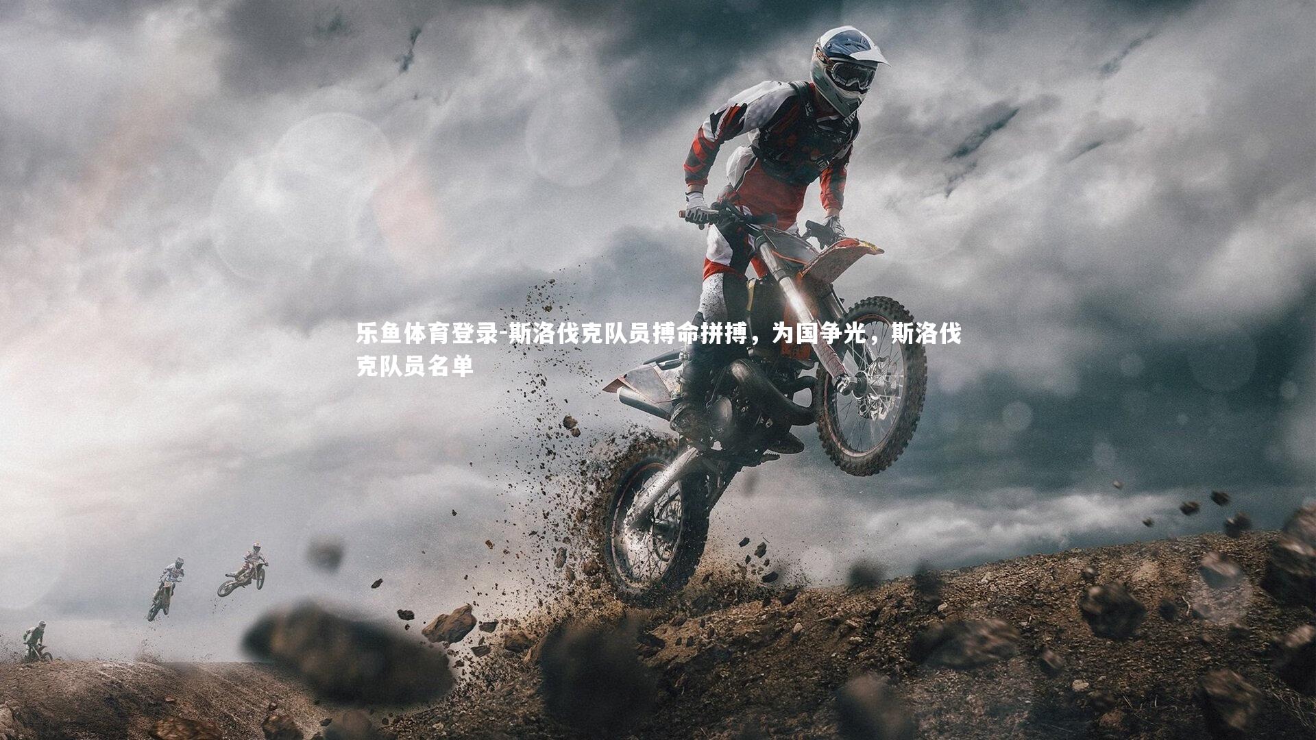 斯洛伐克队员搏命拼搏，为国争光，斯洛伐克队员名单