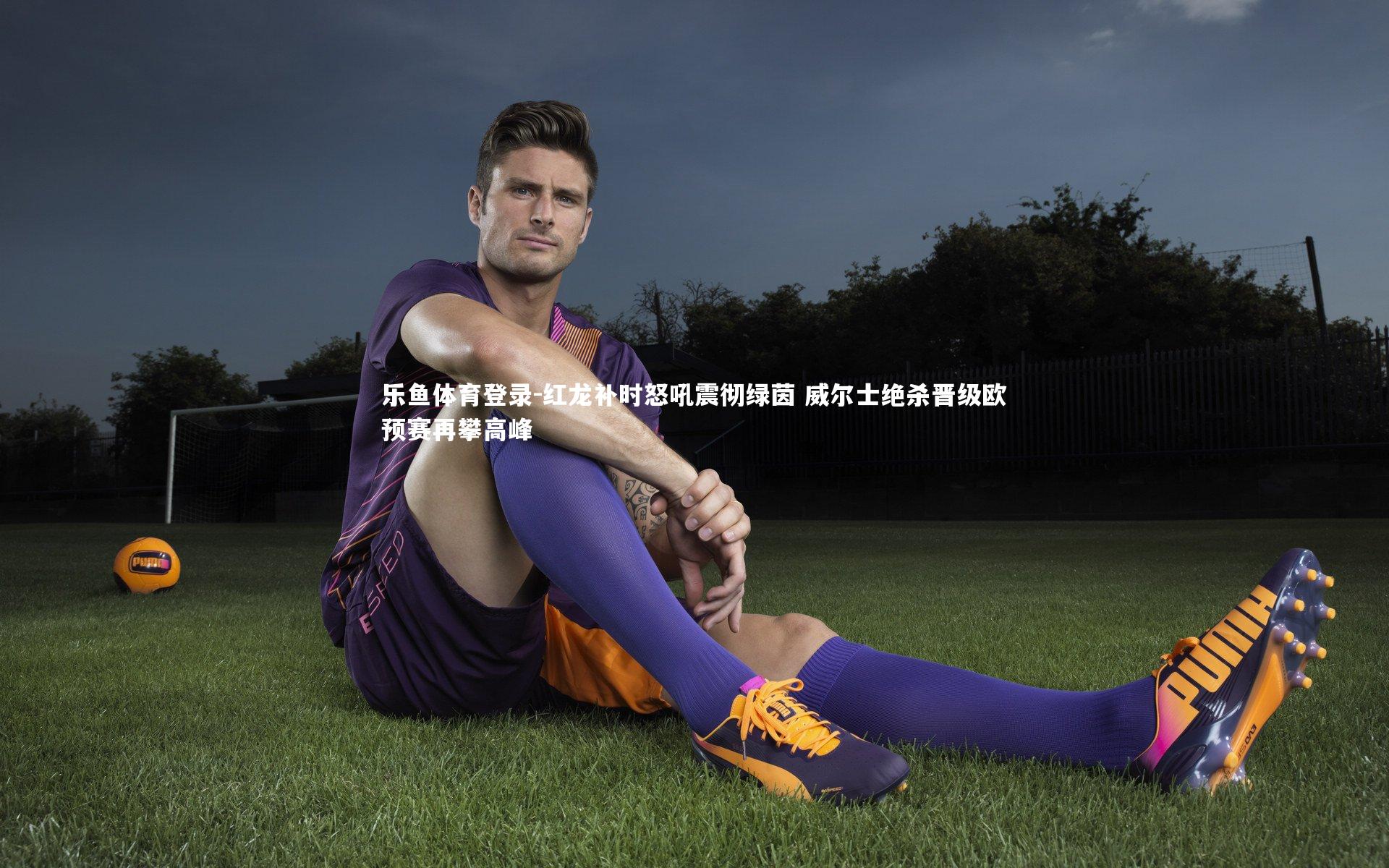 红龙补时怒吼震彻绿茵 威尔士绝杀晋级欧预赛再攀高峰