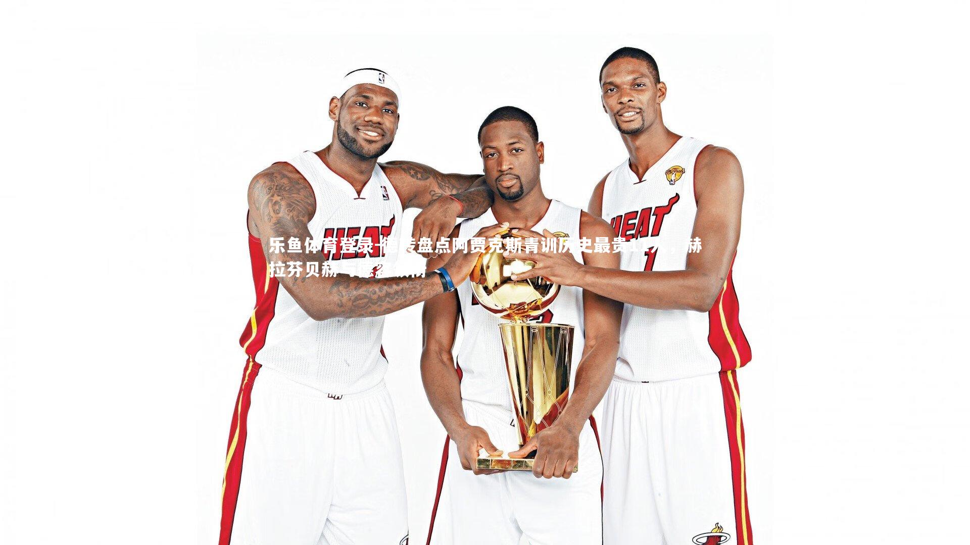 德转盘点阿贾克斯青训历史最贵11人，赫拉芬贝赫与德容领衔